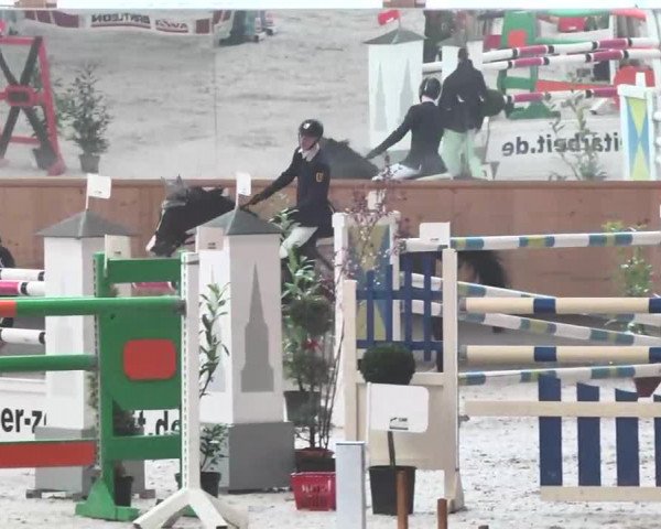 Reitturnier Illertissen 2016