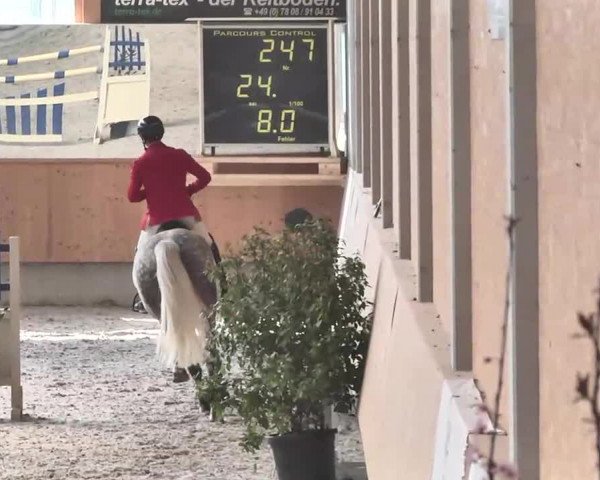 Reitturnier Illertissen 2016
