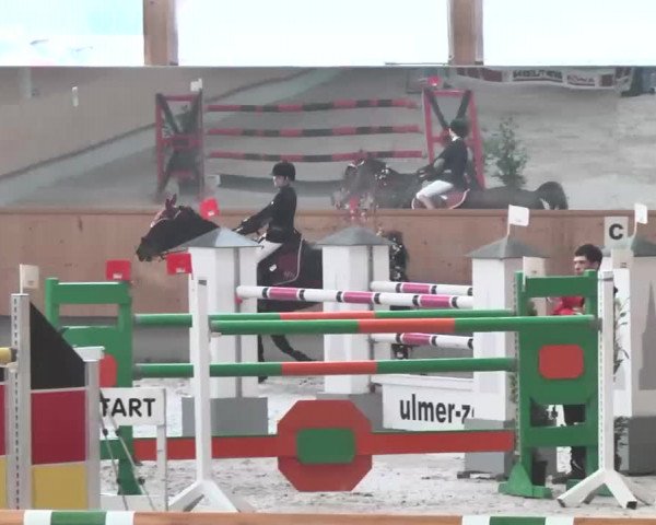 Reitturnier Illertissen 2016