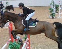 Springpferd Lizzy 106 (Oldenburger Springpferd, 2014, von Lord Pizarro)