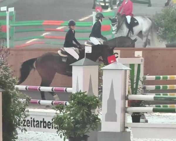 Reitturnier Illertissen 2016