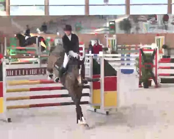 Reitturnier Illertissen 2016