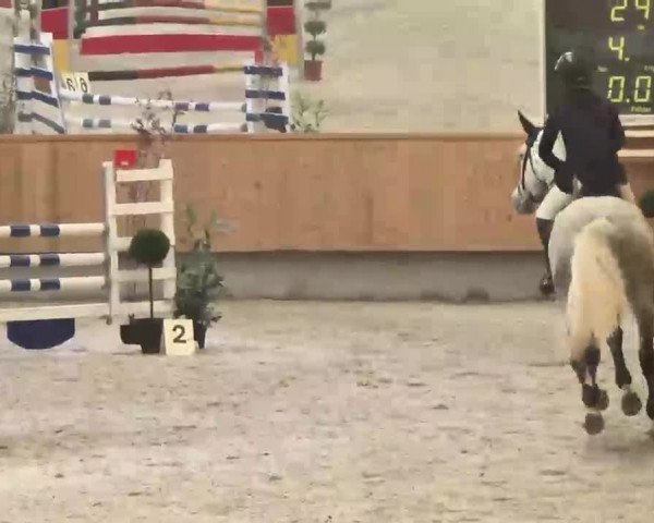 Reitturnier Illertissen 2016