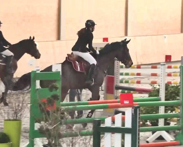 Reitturnier Illertissen 2016