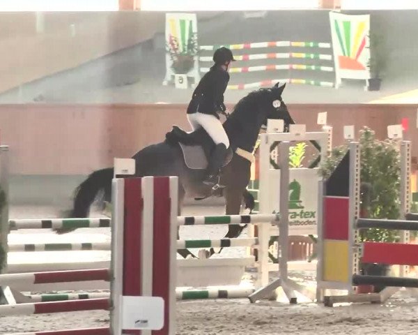 Reitturnier Illertissen 2016