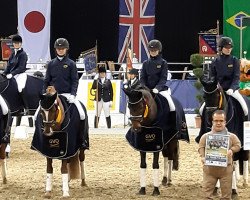 broodmare Chicago Hope 2 (German Riding Pony, 2013, from Dallas 51)