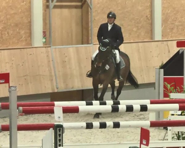 Reitturnier Illertissen 2016