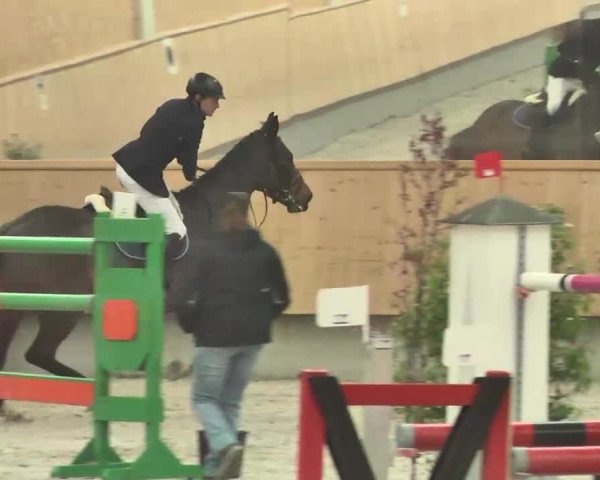 Reitturnier Illertissen 2016
