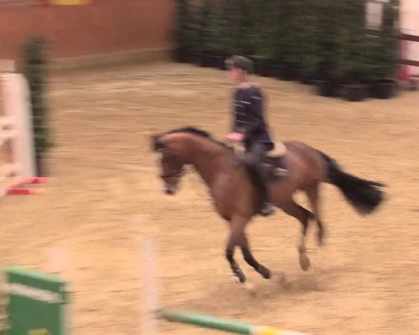 Rosendorf Classics 2016 Seppenrade