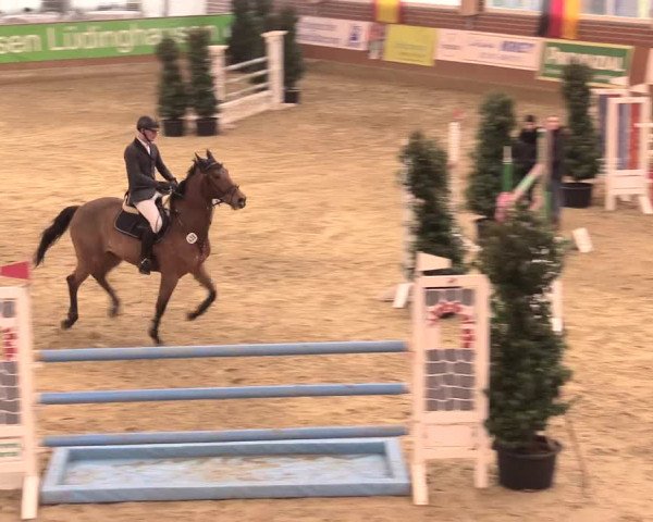 Rosendorf Classics 2016 Seppenrade