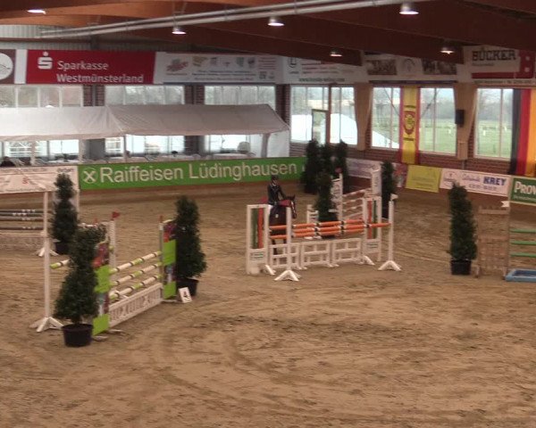 Rosendorf Classics 2016 Seppenrade
