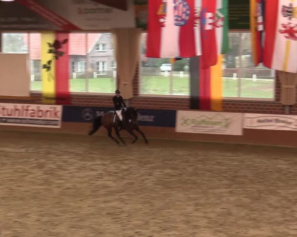 Rosendorf Classics 2016 Seppenrade
