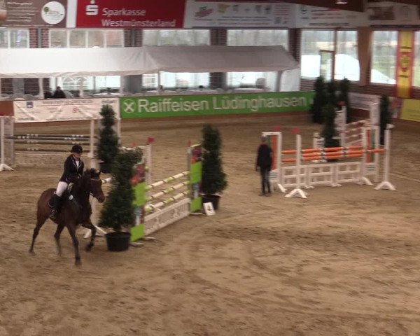 Rosendorf Classics 2016 Seppenrade