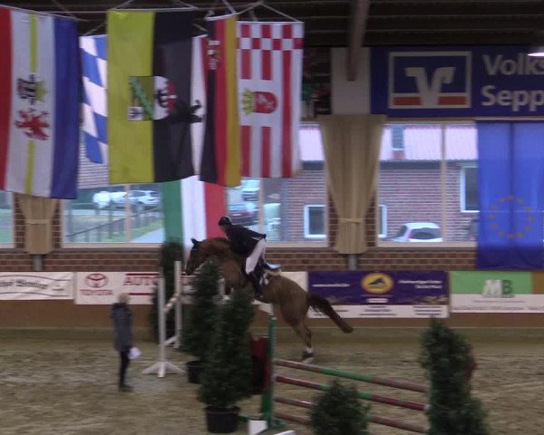 Rosendorf Classics 2016 Seppenrade