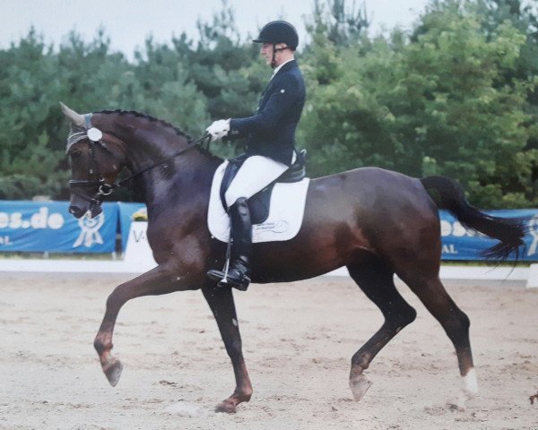 broodmare Fire And Flame (Oldenburg, 2010, from Fidertanz)