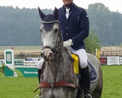 jumper Come On Kampi (Oldenburg show jumper, 2014, from Clarimo Ask)