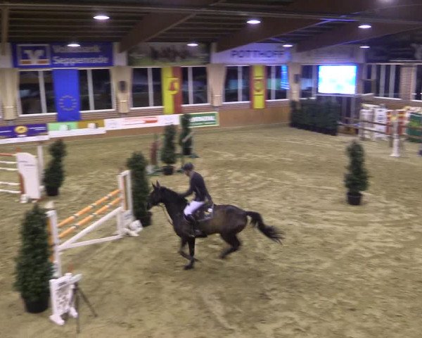 Rosendorf Classics 2016 Seppenrade