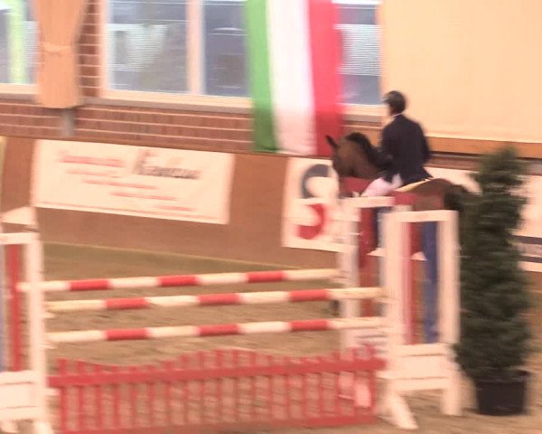 Rosendorf Classics 2016 Seppenrade