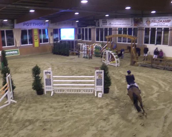 Rosendorf Classics 2016 Seppenrade