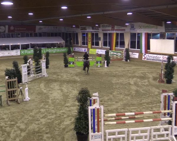 Rosendorf Classics 2016 Seppenrade