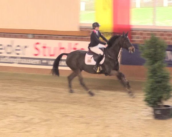 Rosendorf Classics 2016 Seppenrade