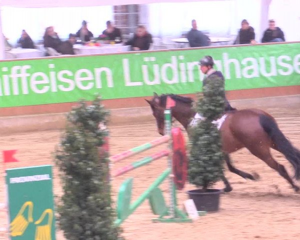 Rosendorf Classics 2016 Seppenrade