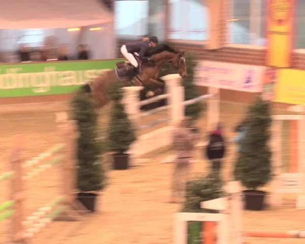 Rosendorf Classics 2016 Seppenrade