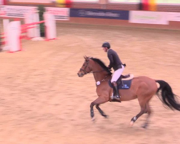Rosendorf Classics 2016 Seppenrade