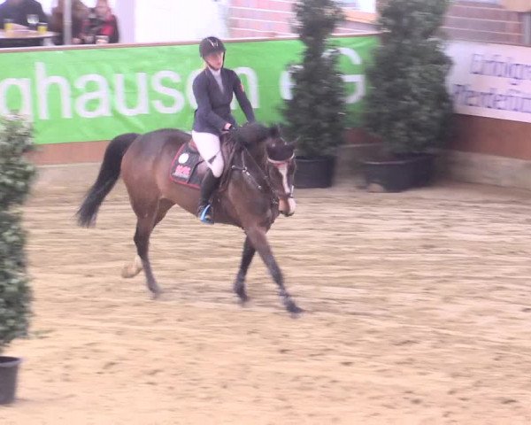 Rosendorf Classics 2016 Seppenrade