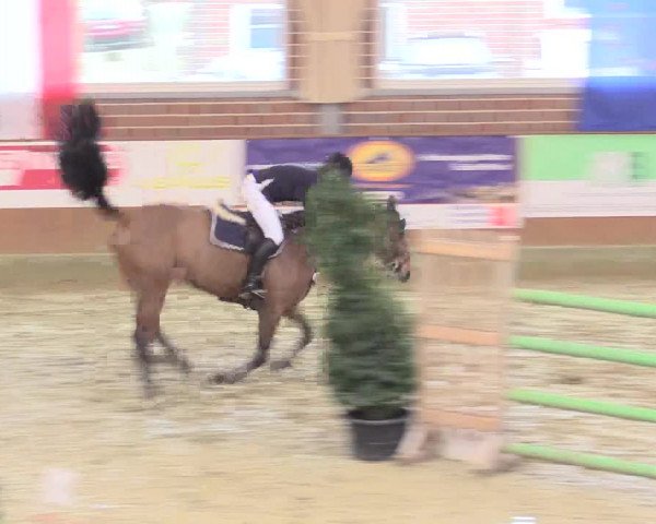 Rosendorf Classics 2016 Seppenrade