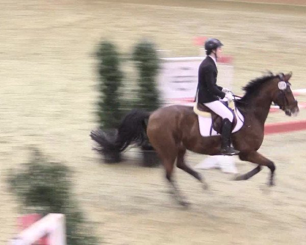 Rosendorf Classics 2016 Seppenrade