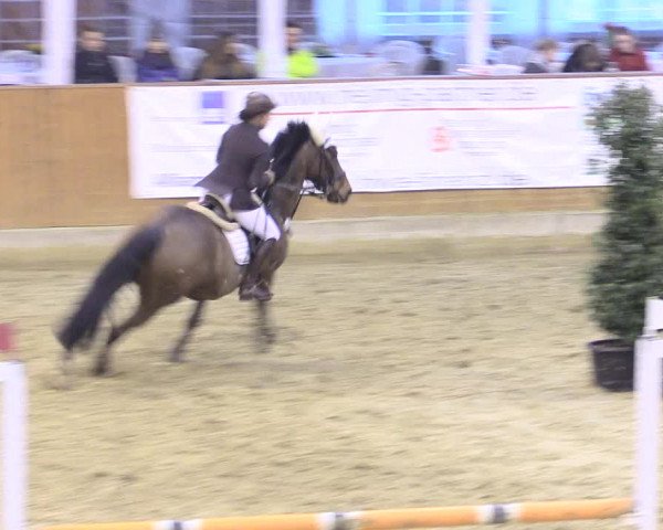 Rosendorf Classics 2016 Seppenrade