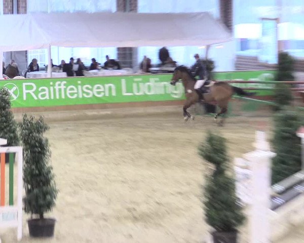 Rosendorf Classics 2016 Seppenrade