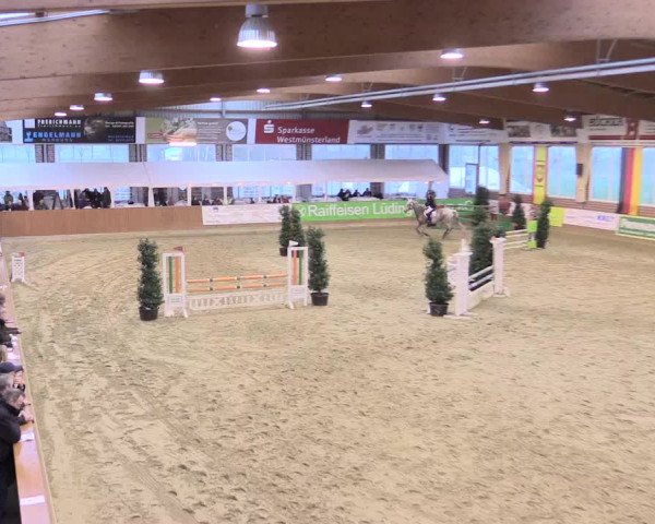 Rosendorf Classics 2016 Seppenrade