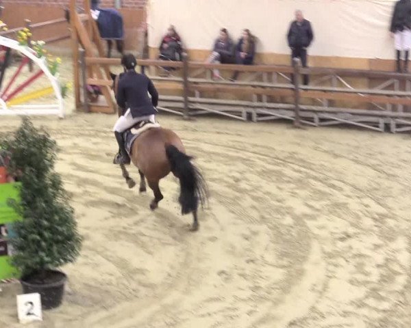 Rosendorf Classics 2016 Seppenrade