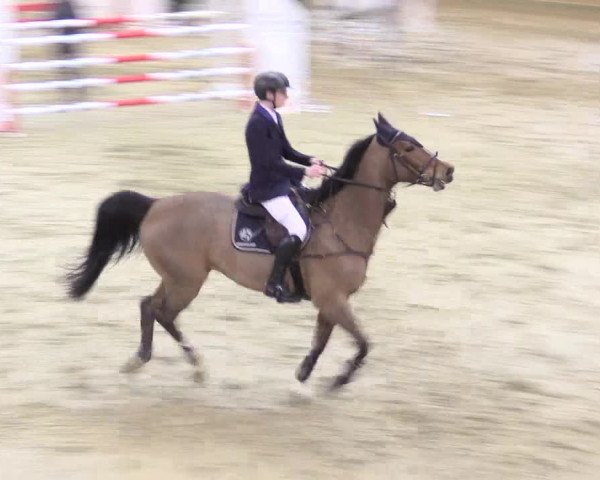 Rosendorf Classics 2016 Seppenrade