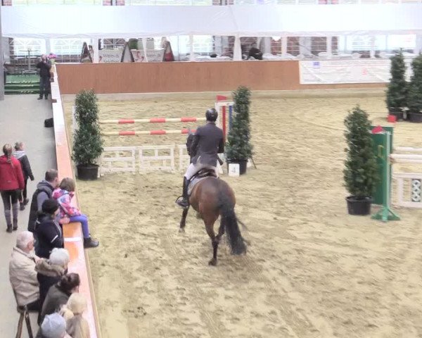 Rosendorf Classics 2016 Seppenrade