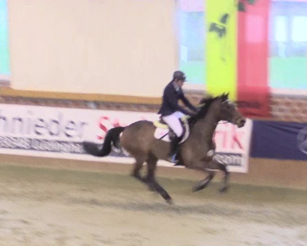 Rosendorf Classics 2016 Seppenrade