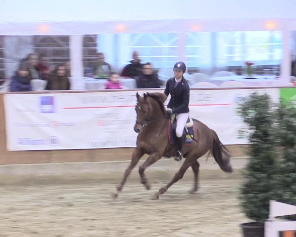 Rosendorf Classics 2016 Seppenrade