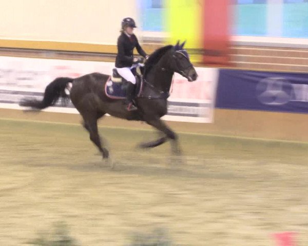 Rosendorf Classics 2016 Seppenrade