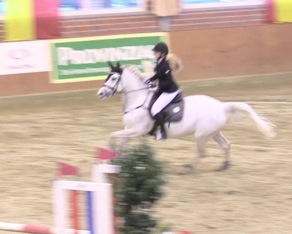 Rosendorf Classics 2016 Seppenrade