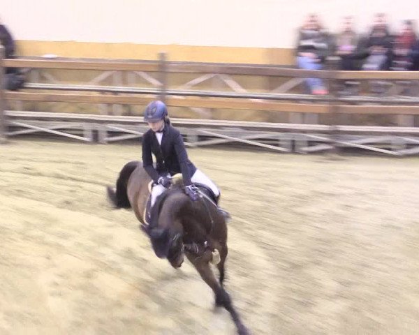 Rosendorf Classics 2016 Seppenrade