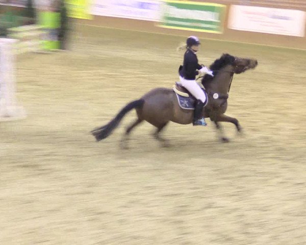 Rosendorf Classics 2016 Seppenrade