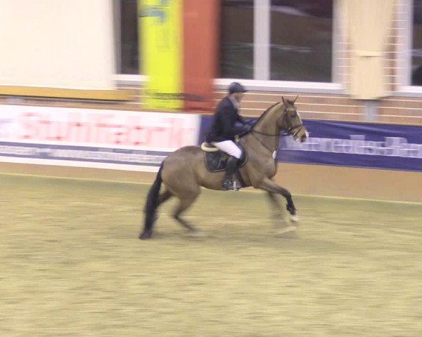 Rosendorf Classics 2016 Seppenrade