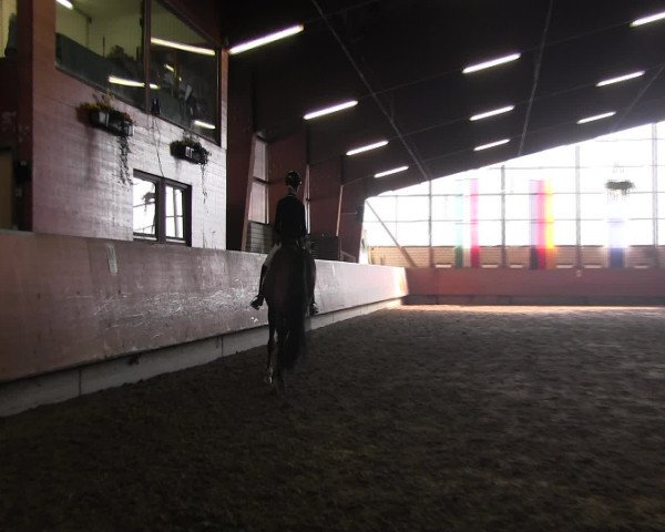 Reitturnier Hellefeld 2016