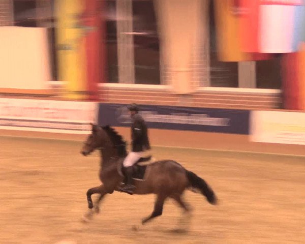 Rosendorf Classics 2016 Seppenrade