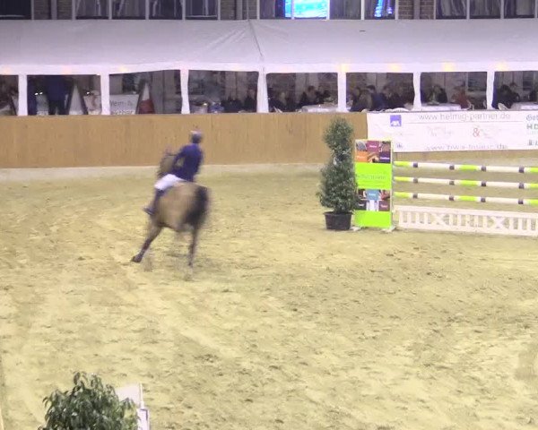 Rosendorf Classics 2016 Seppenrade