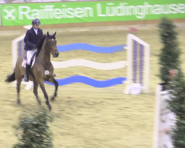 Rosendorf Classics 2016 Seppenrade