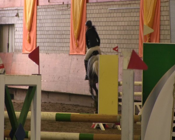 Reitturnier Hellefeld 2016