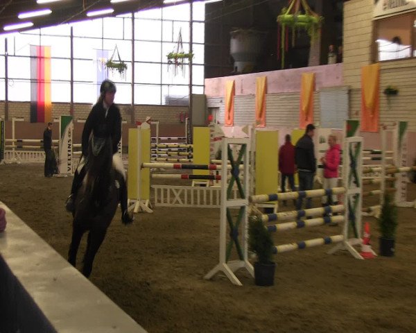 Reitturnier Hellefeld 2016
